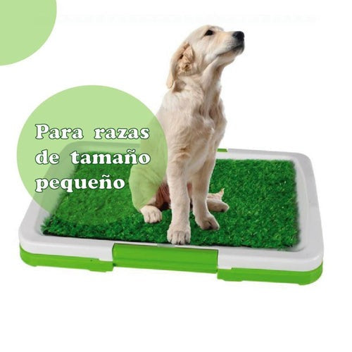 Baño Ecologico Y Portatil Para Perros