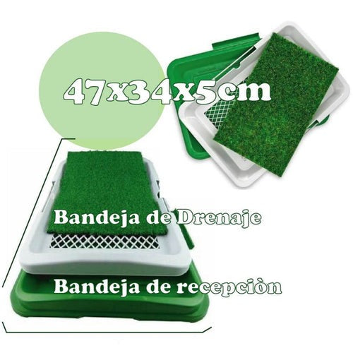 Baño Ecologico Y Portatil Para Perros